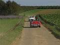 3de Follow the leader-Herfstrit- (70)